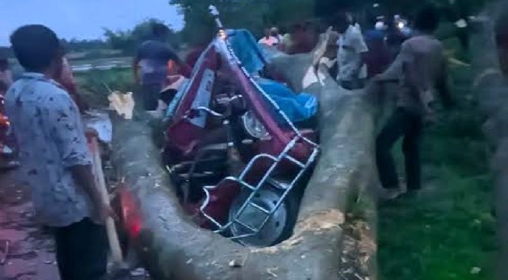 দিনাজপুরে ঝড়ে গাছ পড়ে ইজিবাইকে থাকা যাত্রী নিহত 